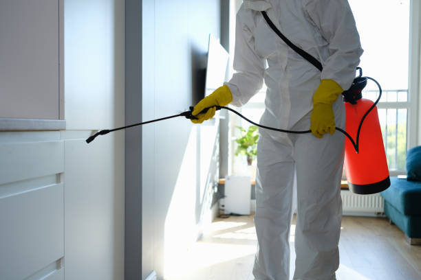 Best Mold Removal Process  in Youngsville, PA