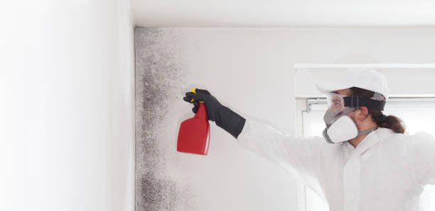 Best Residential Mold Removal  in Youngsville, PA